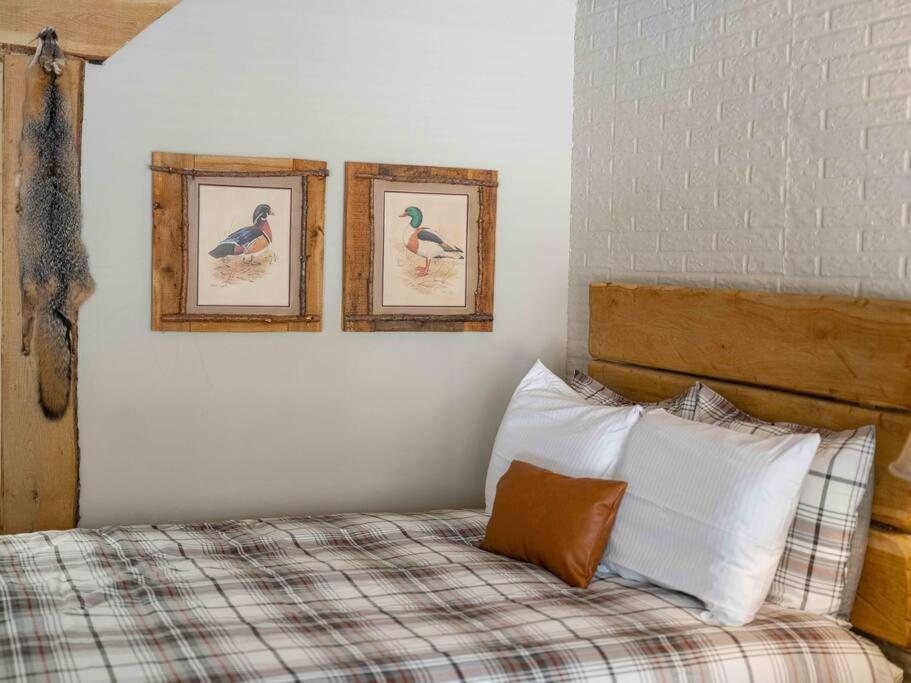 Stonegate Lodge 2 Queen Beds Fast Wifi 50In Tv Salt Water Pool Room # 305 Eureka Springs Eksteriør bilde